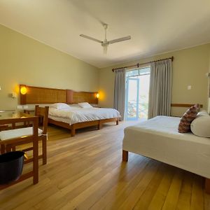 Single Room Garden View